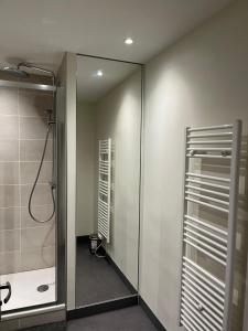ein Bad mit einer Dusche und einer Glastür in der Unterkunft Beau logement très bien situé in Saint-Étienne