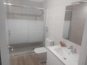 ein Bad mit einer Dusche, einem WC und einem Waschbecken in der Unterkunft Vivienda vacacional casa Dora in Valverde