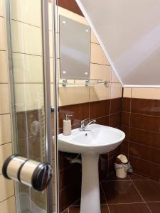 ザルネシュティにあるPensiunea Aliartのバスルーム(洗面台、ガラス張りのシャワー付)