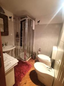 y baño con ducha, aseo y lavamanos. en 2 bedrooms chalet with sauna enclosed garden and wifi at Gratillon, en Villeneuve