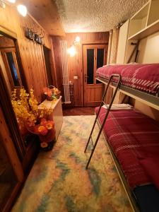1 dormitorio con litera y alfombra en 2 bedrooms chalet with sauna enclosed garden and wifi at Gratillon, en Villeneuve