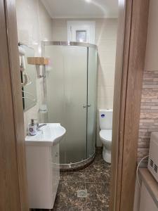 La salle de bains est pourvue d'une douche, d'un lavabo et de toilettes. dans l'établissement Ifos Apartments, à Thessalonique