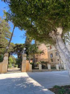 un árbol frente a un edificio con una acera en TERRA MIA en Marsala