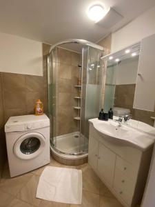 a bathroom with a washing machine and a sink at City Center Apartments am Schwedenplatz in Vienna +45 photos