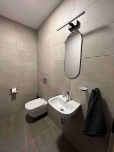 a bathroom with a toilet and a sink and a mirror at Bierinu apartamenti in Rīga