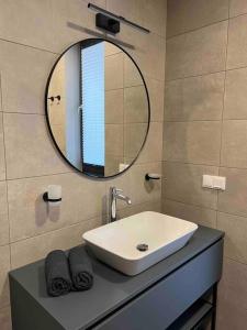 a bathroom with a sink and a mirror at Bierinu apartamenti in Rīga