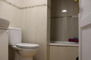 a bathroom with a white toilet and a shower at Apartamentos La Carmen in Arrecife