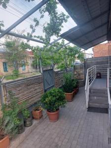 a patio with potted plants and stairs in a building at Sweet home in Tbilisi City