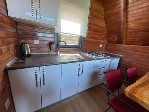 A kitchen or kitchenette at Harmanlı Bungalov Még 37 kép