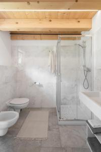 a bathroom with a shower and a toilet and a sink at Agriturismo Podere del Bosc in Valmareno