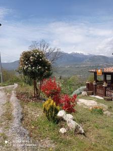 een boom en bloemen op een heuvel bij B&B Giallo Siena in Colli a Volturno