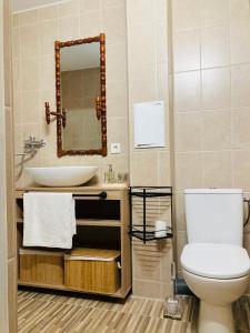 a bathroom with a toilet and a sink and a mirror at Nākotnes street apartaments in Liepāja
