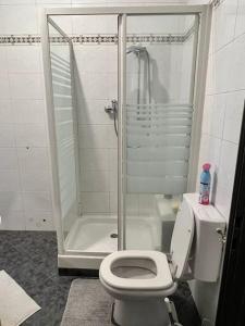 ein Bad mit einer Dusche, einem WC und einer Duschkabine aus Glas in der Unterkunft Cozy flat on the Cote d'Azur in Villeneuve-Loubet
