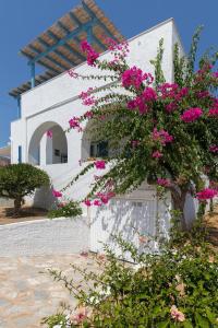 a white building with pink flowers in front of it at Summer House - Finikas Syros in Víssa