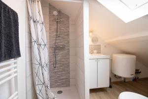 a bathroom with a shower in a attic at Studio duplex, proche université in Montbéliard