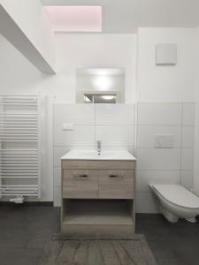 een witte badkamer met een wastafel en een toilet bij City House - up to 8 Persons in Kapfenberg