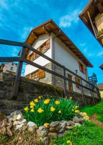 Fotografie z fotogalerie ubytování Joy House v destinaci Baceno