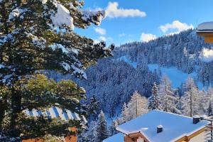 een uitzicht op een met sneeuw bedekte berg met een huis bij Idyllische Zirbenholz Alpin Huette in Turracher Höhe