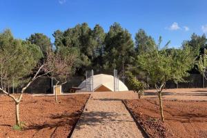 Fotografie z fotogalerie ubytování Villa Can Pep de Sa Guaita v destinaci Sant Joan de Labritja