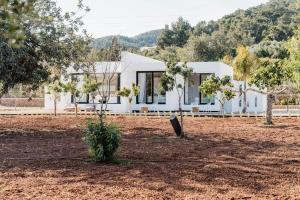 Fotografie z fotogalerie ubytování Villa Can Pep de Sa Guaita v destinaci Sant Joan de Labritja