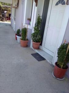 Imagine din galeria proprietății VOULA'S HOUSES în Karlovasi