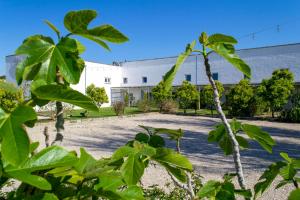 Ein Garten an der Unterkunft Masseria Rauccio