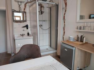 bagno con doccia, lavandino e sedia di Zimmer Donaustrand a Leiben