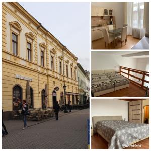 a collage of pictures of a building with a bed at Széchenyi Apartman in Eger