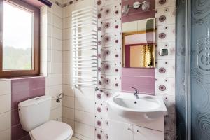 een badkamer met een toilet, een wastafel en een spiegel bij Dworek na Wzgórzu in Rzepiska