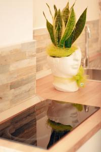 une plante dans un vase sur un comptoir dans une salle de bains dans l'établissement Meraviglie del Sud, à Castellana Grotte