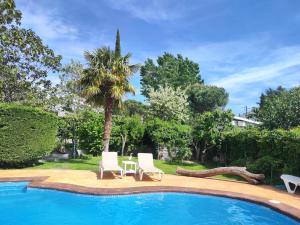 una piscina con 2 sillas, una mesa y una palmera en Casita de invitados cerca de Madrid, en Moralzarzal