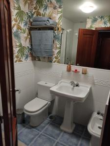 ein Bad mit einem WC und einem Waschbecken in der Unterkunft Portosin Lar in Goyanes
