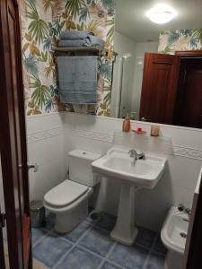 a bathroom with a toilet and a sink at Portosin Lar in Goyanes +3 photos
