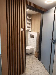a bathroom with a white toilet in a room at Wroclove Airport Loft in Wrocław