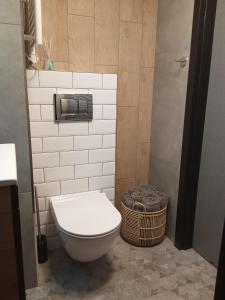 a bathroom with a toilet and a basket at Wroclove Airport Loft in Wrocław