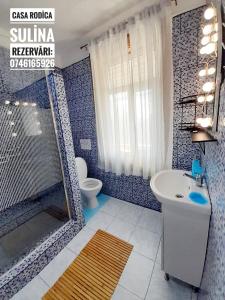 a bathroom with a shower and a sink and a toilet at Casa de Vacanta Rodica in Sulina