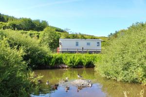 a flock of ducks swimming in a river with a house at Crannich Holiday Caravans in Killichronan