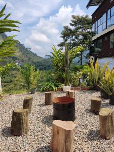 a garden with logs and plants and a building at SAN FELIPE CASA QUINTA in Ibagué