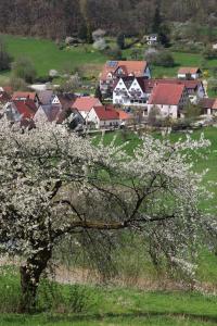 un árbol con flores blancas en un campo con casas en Landidyll Hotel Zum Alten Schloss, en Kirchensittenbach