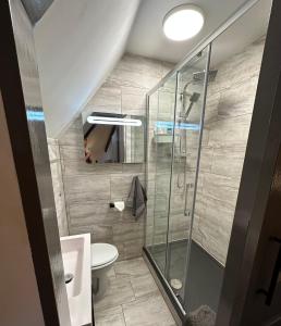 a bathroom with a shower and a toilet at Green Corner Villa - No.5 Walls Hill Apartment in Torquay