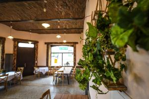a dining room with tables and chairs and plants at Willa Zator in Oświęcim