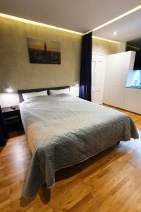 a bedroom with a large bed in a room at Studio Bufnița - The Owl's Nest in Sibiu