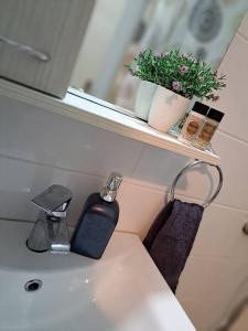 a bathroom sink with a shelf with a plant on it at Lydia's cozy house in Paradeísion +42 photos