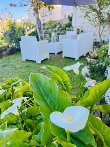 オストゥーニにあるCasa Agrumeto 28の白いソファと花の植物のある庭園
