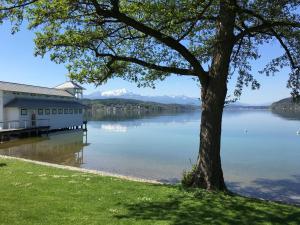 a building on the shore of a lake with a tree at See & You Ferienwohnung mit Hotelanbindung in Pörtschach am Wörthersee +10 photos