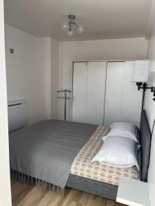 a bedroom with a large bed with white cabinets at Appartement de la Fontaine à la Tour du Pin hyper centre parking privé in La Tour-du-Pin