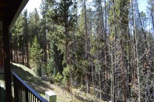 Příroda nedaleko prázdninového domu