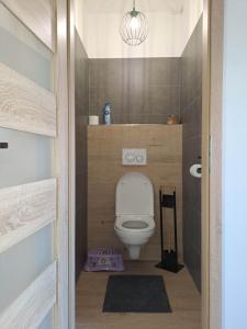 a bathroom with a white toilet in a room at Chata Štíty in Štíty +60 photos