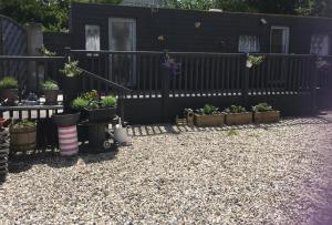 The Caravan at Loggans Lodge في هايلي: حديقة بها نباتات الفخار وسياج أسود