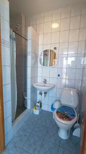 a bathroom with a toilet and a sink at Marszałek Mielno in Mielno +30 photos